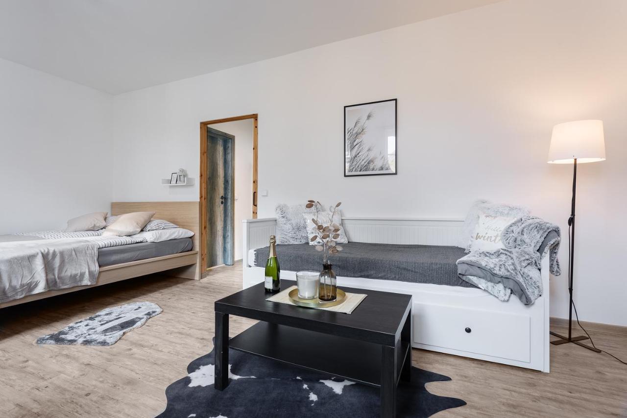 Vlevo Dole Koko Apartment Rokytnice nad Jizerou Kültér fotó